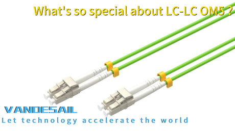 What's so special about LC-LC OM5 ?